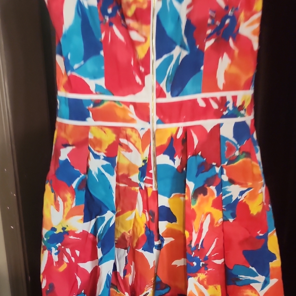 Vibrant Abstract Floral Fit & Flare Sleeveless Dress with White Pipin - Picture 5 of 7
